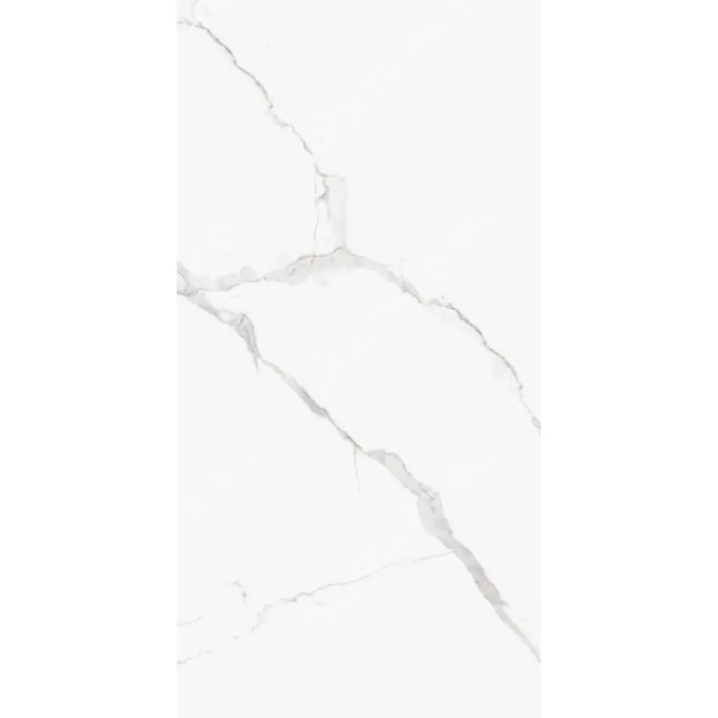 ADRIATICO SILVER POLISHED 107CP11