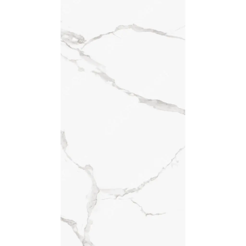 ADRIATICO SILVER POLISHED 107CP11