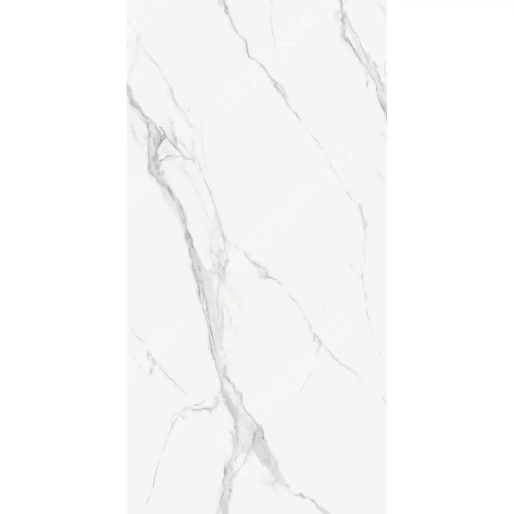 CALACATA SILVER POLISHED 101CP11