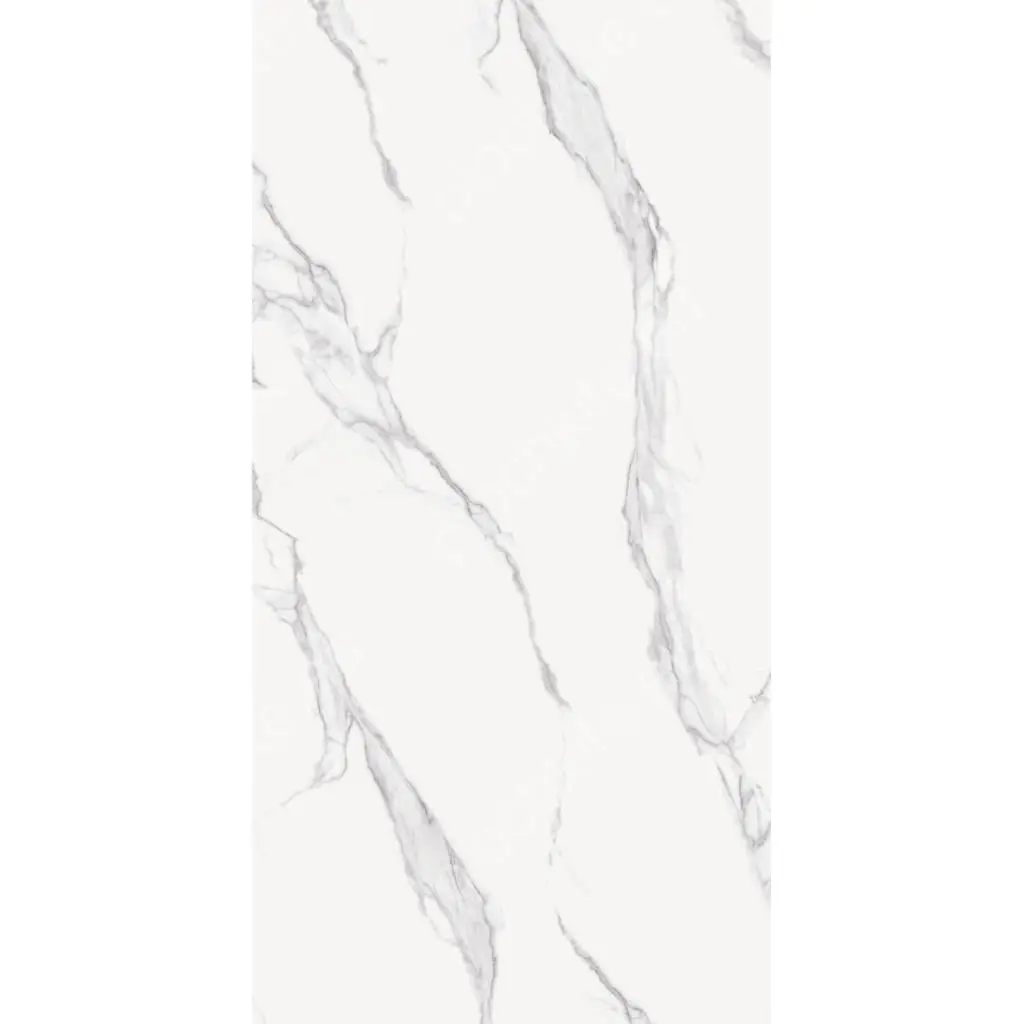 CALACATA SILVER POLISHED 101CP11