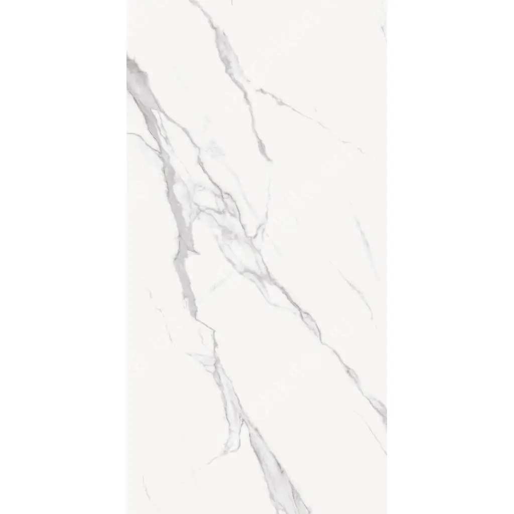 CALACATA SILVER POLISHED 101CP11