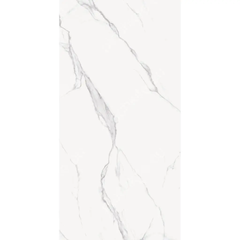 CALACATA SILVER POLISHED 101CP11